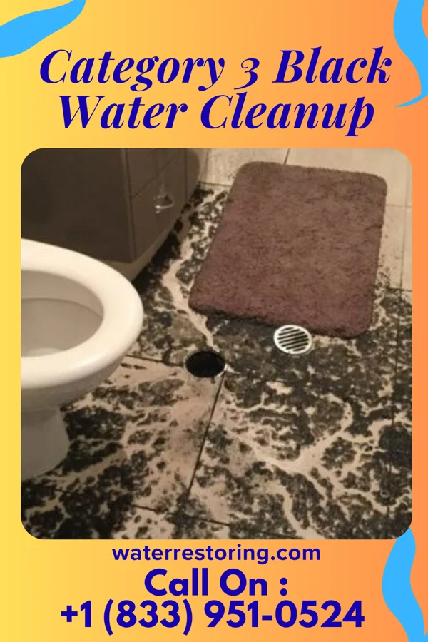 Category 3 Black Water Cleanup in Cromwell, IN