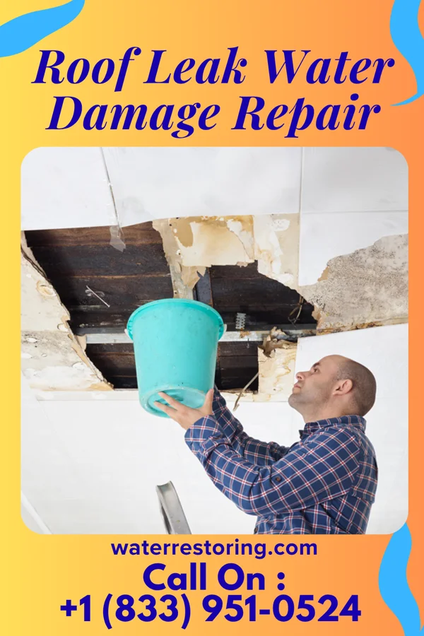 Roof Leak Water Damage Repair in Cromwell, IN