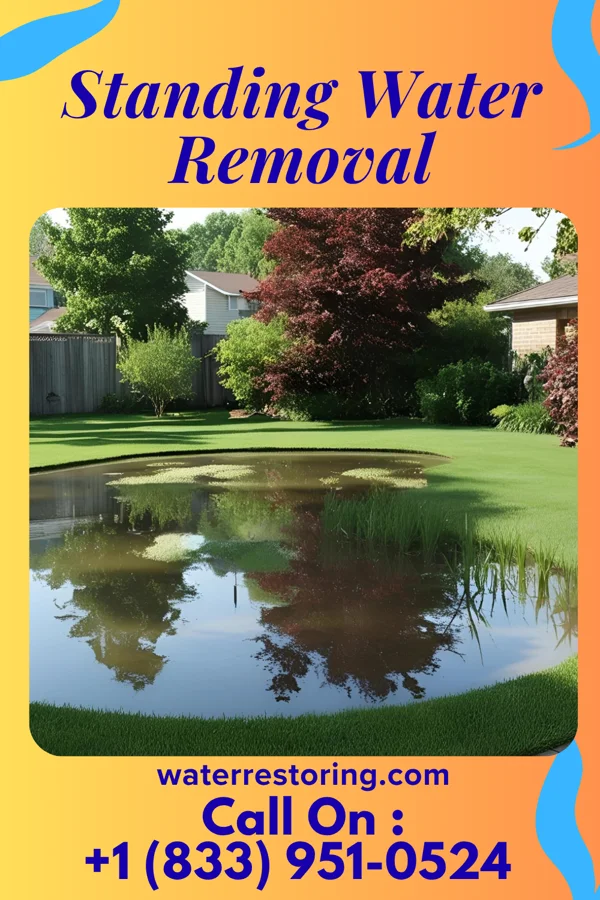 Standing Water Removal in Cromwell, IN